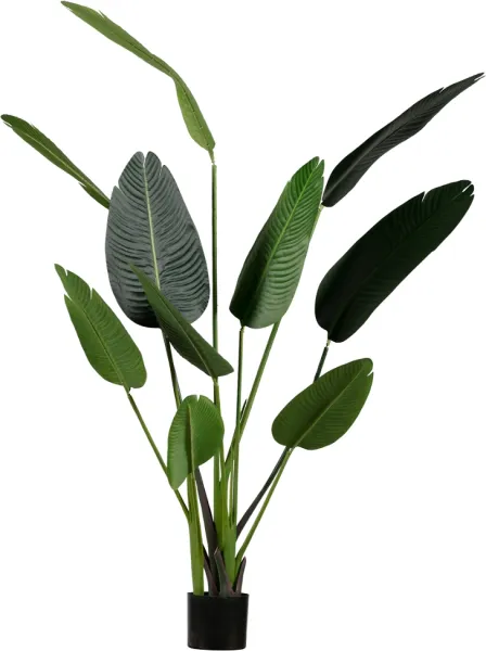 Strelitzia, Konstgjord växt, grön, H164x96x63 cm